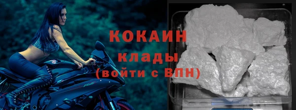 винт Няндома