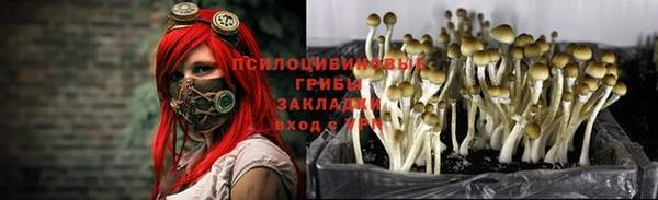 экстази Нязепетровск