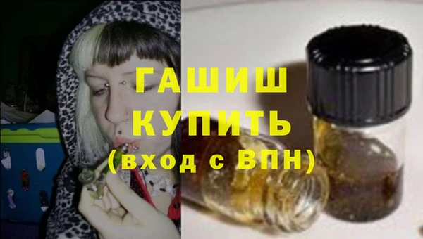 прущие грибы Вязники