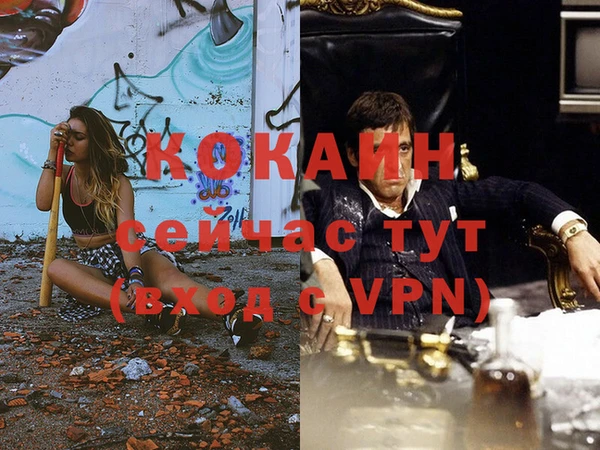 винт Няндома