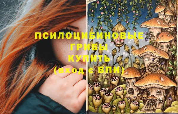 винт Няндома