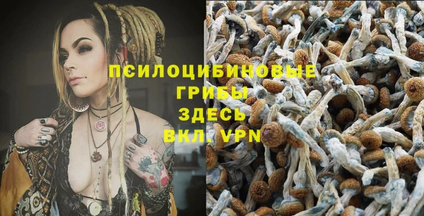 герыч Осташков