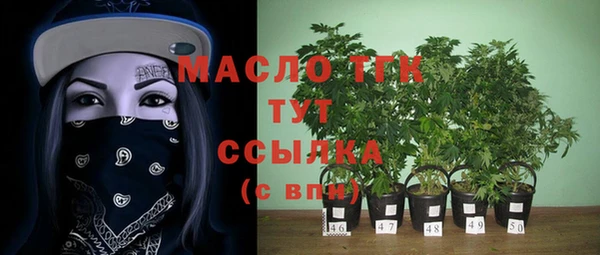 винт Няндома