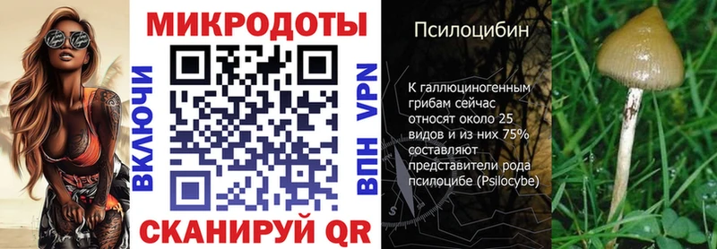 Псилоцибиновые грибы MAGIC MUSHROOMS Слюдянка