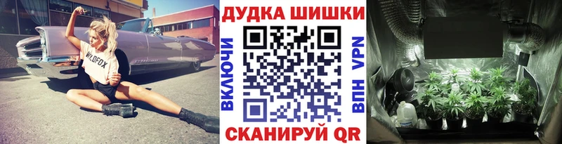как найти наркотики  Слюдянка  Конопля Bruce Banner 